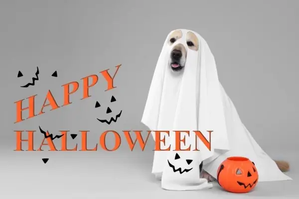 Happy Halloween from A&amp;B Mortgage Services, LLC